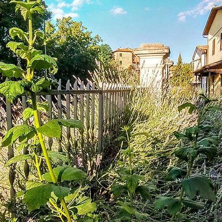 Villa Elvira Ambra Eksteriør billede