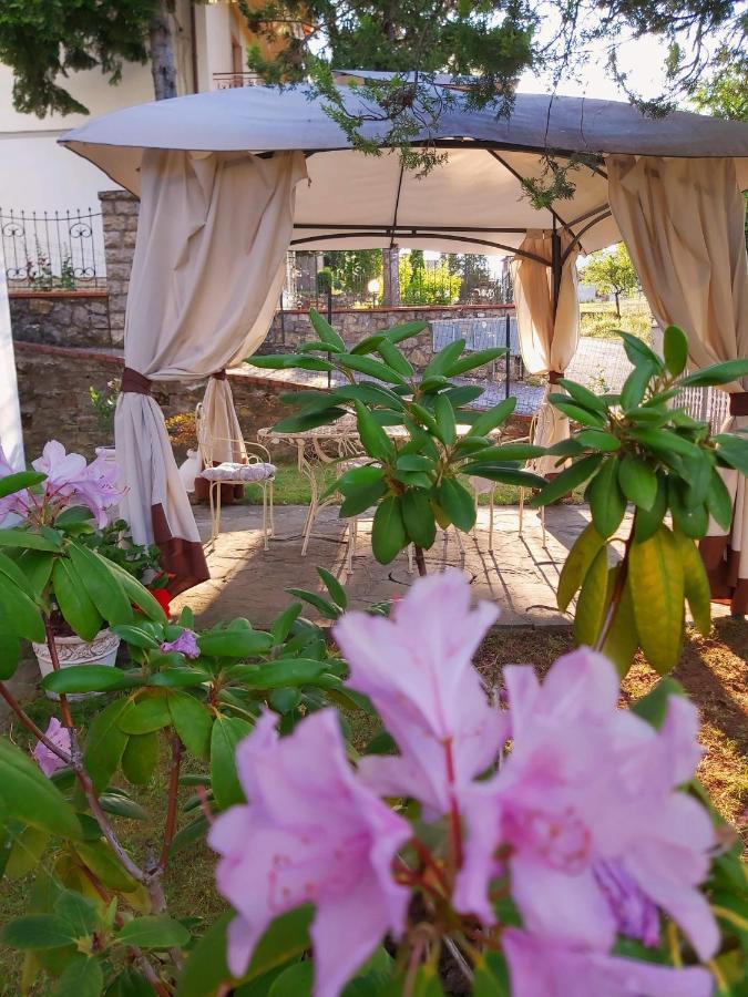 Villa Elvira Ambra Eksteriør billede