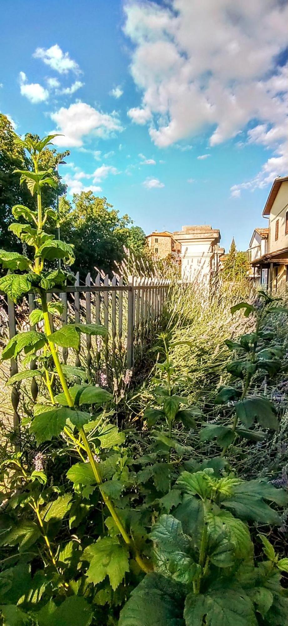 Villa Elvira Ambra Eksteriør billede